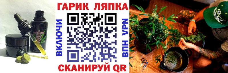 Печенье с ТГК конопля  где купить наркоту  Кизляр 