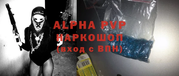 индика Козловка