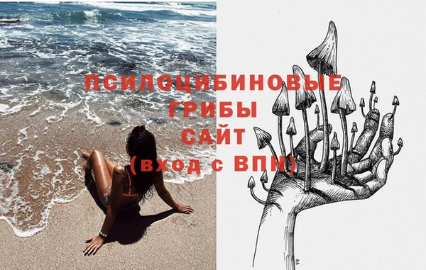 гидропоника Кодинск
