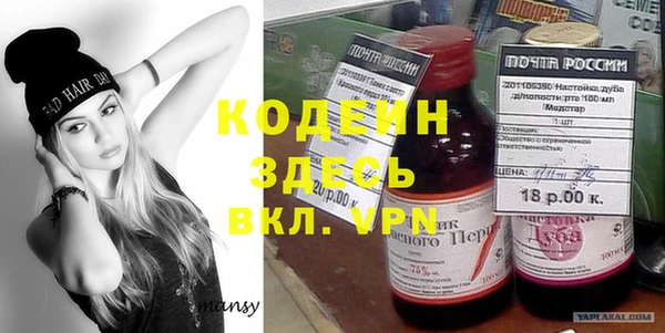 индика Козловка