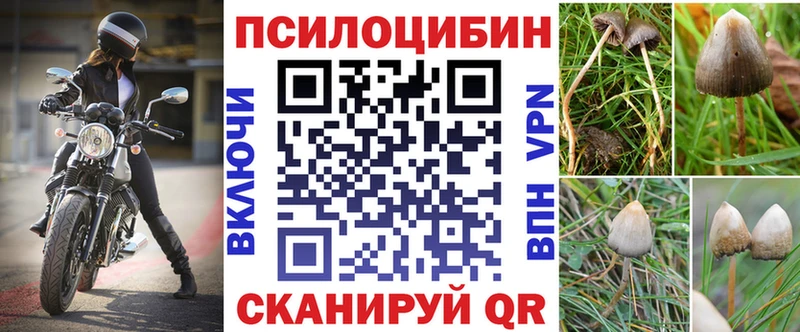 закладки  Кизляр  Псилоцибиновые грибы Magic Shrooms 
