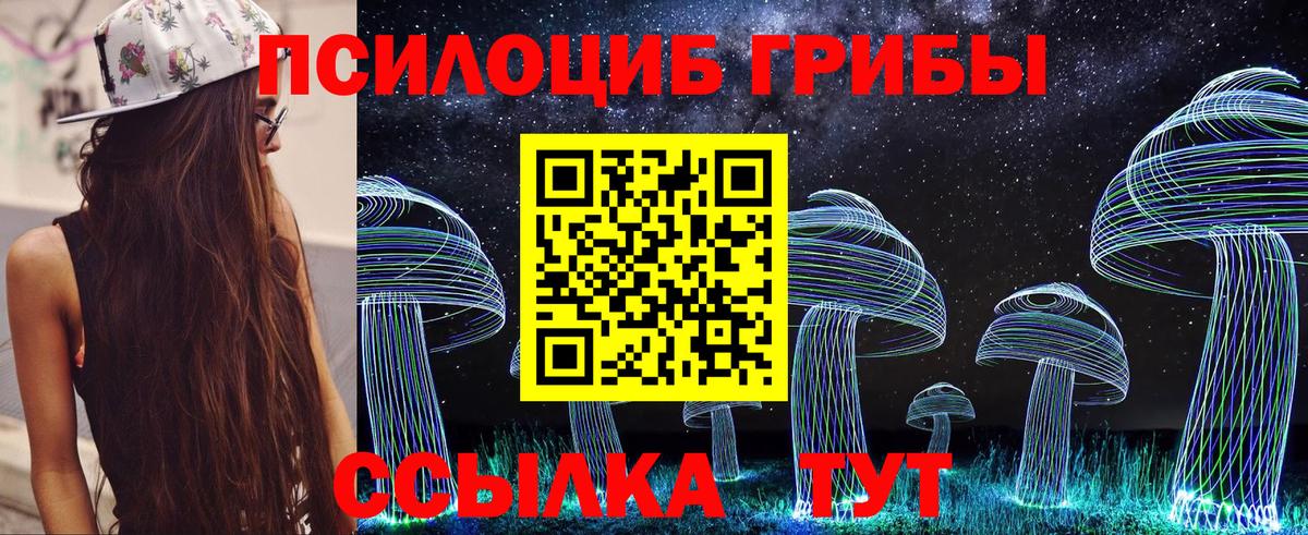 Псилоцибиновые грибы Cubensis  Вход с VPN  Кизляр  Галлюциногенные грибы мицелий 