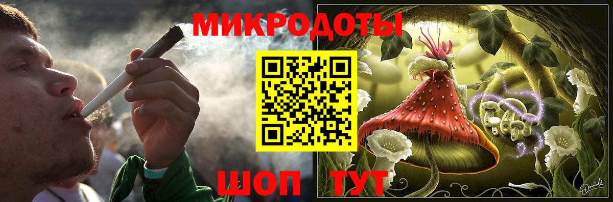 Галлюциногенные грибы Psilocybe  Кизляр 