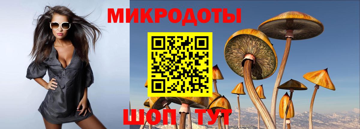 Галлюциногенные грибы прущие грибы Кизляр